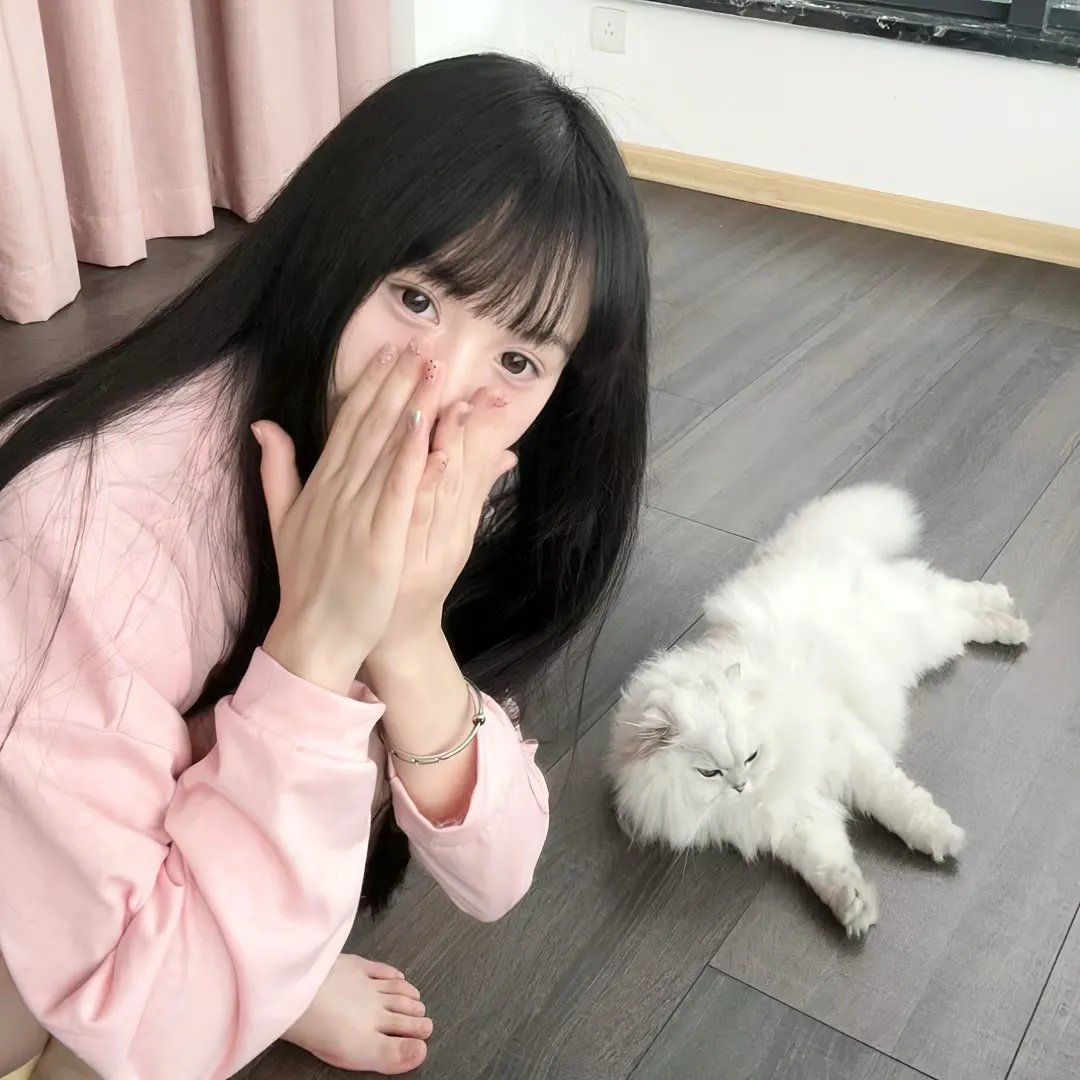 傲骨贤妻第六季